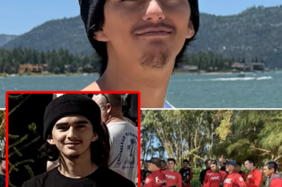 Tragic update in the search for 19-year-old swept away at Kahili Beach