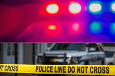 Bl00dbathed Key Peninsula: 5 b0dies left behind after a horrific st@bbing spree