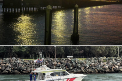 No more hope: The 81-year-old man who mysteriously vanished beneath the raging waters and the tearful ending after a 3-day search