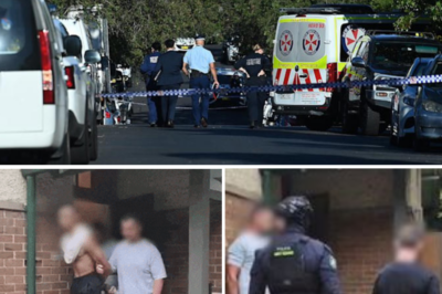 100 OFFICERS MOBILIZED: Sydney Police launch a massive crackdown on ‘Coconut Cartel’, halting a bl00dy gangland war!