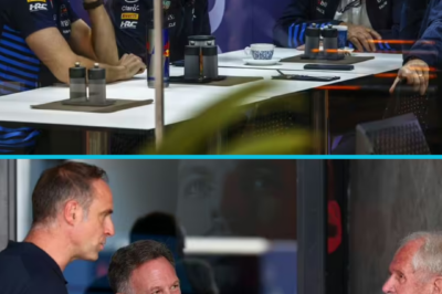 DRIVE TO SURVIVE BOMBSHELL — Christian Horner Drops Explosive Claim About Helmut Marko and Jos Verstappen, F1 Paddock Left Stunned by Behind-the-Scenes Fallout!
