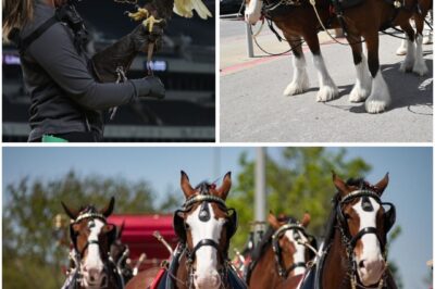 Budweiser Didn’t Wait for the Super Bowl — It Stole the Moment and Broke the Internet Instead