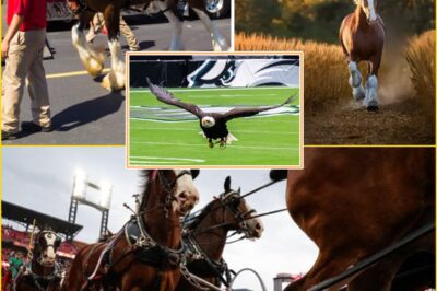 America Didn’t See This Coming — And That’s Why It Hit So Hard