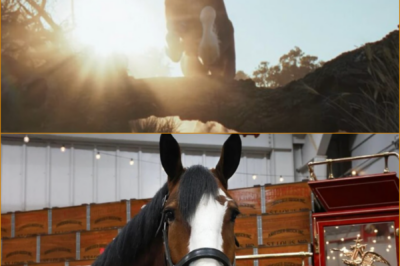 “ONE JUMP. TOTAL SILENCE.” — THE MOMENT BUDWEISER BROKE EVERY RULE AND MADE AMERICA HOLD ITS BREATH BEFORE THE SUPER BOWL