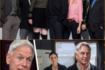 JUST IN: MARK HARMON IS BACK AS GIBBS — AND THE NCIS WORLD IS SOBBING – We all thought that boat in Alaska was the final goodbye… WRONG