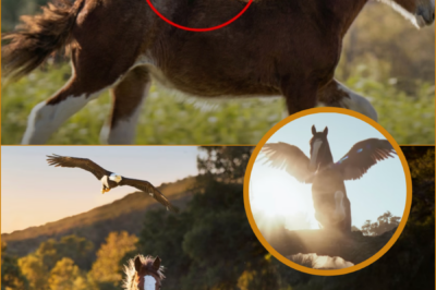 No one gave a signal, no music swelled — yet the moment a baby eagle climbed onto the back of a Clydesdale brought all of Super Bowl 2026 to a standstill, turning Budweiser’s commercial into the most talked-about image of the night