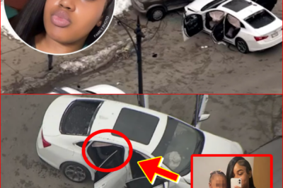 “‘Don’t Be Scared, Baby…’” — The Chicago Mother Who Collapsed After Dozens of Gu-nsh0ts, While She Was Still Turning Back Toward Her Child