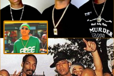 “THE FINAL RULING… AND THE SILENCE THAT FOLLOWED…” — The C-Murd3r Case Resurfaces, Leaving No Limit Facing a Painful Reality