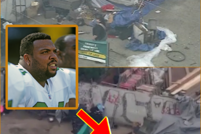 “FROM THE NFL FIELD TO A HOMELESS ENCAMPMENT…” — THE DE-ATH OF FORMER PLAYER KEVIN JOHNSON IN LOS ANGELES IS RAISING TERRIFYING QUESTIONS