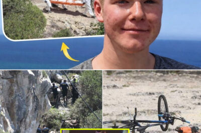 Malta’s Unsolved Cliff Mystery: German Teen Mike Mansholt Found Below Dingli Cliffs in a Case That Still Raises Chi-ll-ing Questions