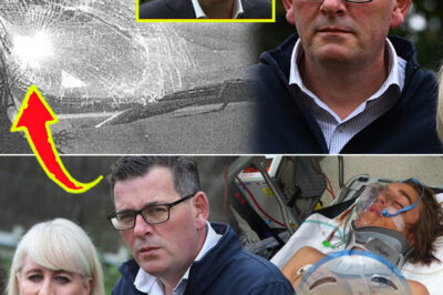 Lawsuit Targets “Bike Boy” Ryan Meuleman — New Claims Raise Serious Questions in Explosive Investigation