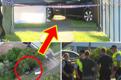 Sydney Sh0ck: Man Found Partially Ejected D-i-es at Scene as Five Others, Including Toddlers, Are Injured