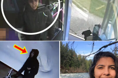 Major Break in Search for Missing Woman Last Seen on Bus Before Mysterious Disappearance