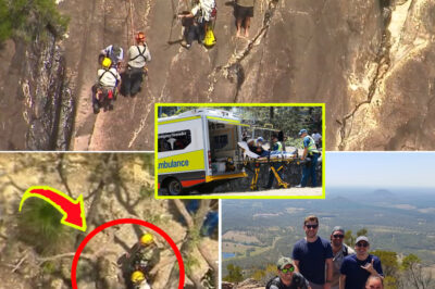 ‘She Never Made It Down’: Young Hiker’s Mount Beerwah Adventure Ends in Heartbreaking Tr-a-gedy