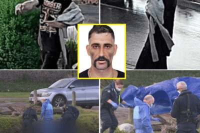 He Had No Name… Just “Mum 1964–2006” — The Chil-ling Clue That No One Has Ever Claimed