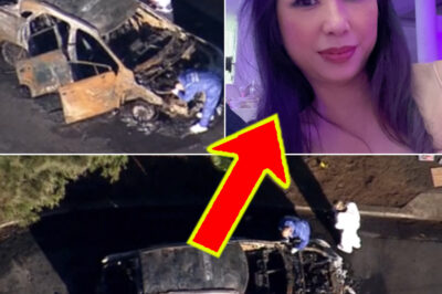 🚨 Sydney Mother Found in B-u-rnt Car … Hours Later, What Police Found Changed Everything