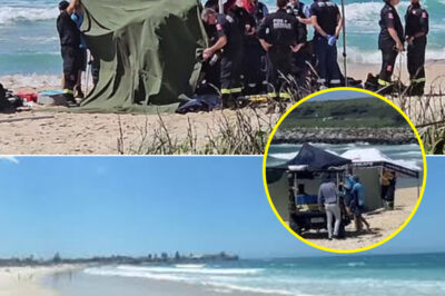 British Couple Dr0wn Off NSW Coast During Family Visit as Tragedy Unfolds at Shellharbour Beach