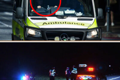 Young Woman K*lled, Two Injured in Br-u-tal Head-On Crash Near Lake Wivenhoe as Police Probe Suspected Hoon Meet-Up