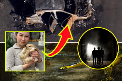 A Second Crew Emerges in Sydney Kidnap-Murd3r Case — New Details Raise Chil-ling Questions