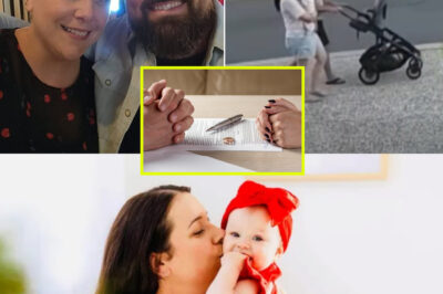 From Routine Paperwork to Key Clue: Divorce Timeline in Kate Paterson Case Draws New Attention