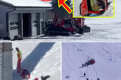 Swiss Alps Gondola H-0-rror: Sudden Mid-Air Detachment Leaves One De@d, Raises Urgent Questions