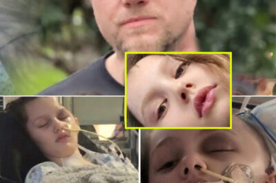 Heartbreaking Update on Maya — Sudden Decline Forces Constant Monitoring as Her Condition Worsens