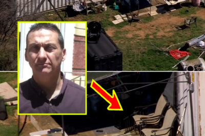 Behind Closed Doors: Inside the Property Linked to Dezi Freeman — The Discovery That’s Shocking Investigators