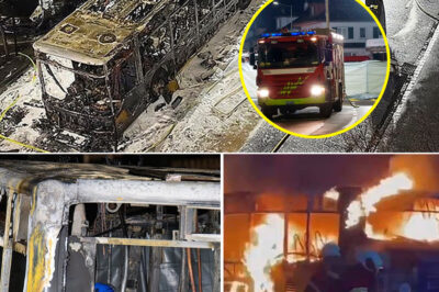 H0rr0r Bus Blaze in Switzerland: Six K*lled and Five Hurt in Suspected Deliberate Fire