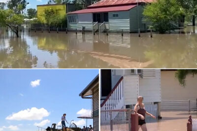 Fears Grow for Missing Backpackers as Queensland Flood Disaster Complicates Search Efforts