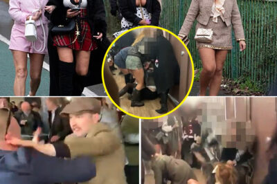 Shocking Toilet Brawl Breaks Out at Cheltenham Festival as Viral Video Shows Six Women Fighting Behind Guinness Village Stage