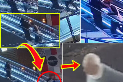 Broad Daylight H0rr0r: Woman At-t-acked from Behind by Elderly Man — Investigators Search for Real Reason