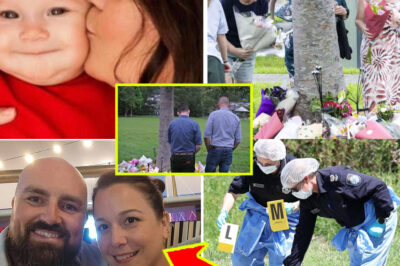 Was He Running for His Life? Forensic Breakthrough Reveals Chilling Pursuit in Dr. Seers Case