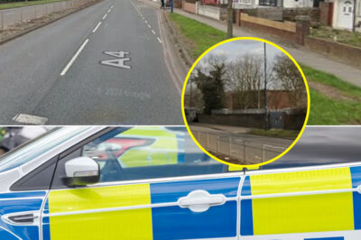 Mystery De@th Sparks Manhunt After Woman Found De@d With ‘Significant Injuries’ in London House