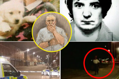 JUST NOW: Major New Clue Emerges in ‘Beast of Birkenhead’ Hunt – 30 Years After Woman K*lled in Street