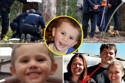 Breaking News: New Statement Sparks Questions in 10-Year Mystery of William Tyrrell