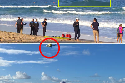 Desperate Search Underway After 18-Year-Old Lifesaver Goes Missing at Buddina Beach