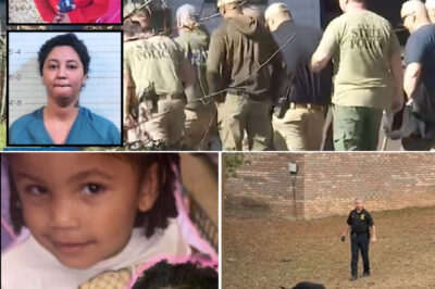 Christmas Night H0rr0r: Missing T0ddler’s Location Revealed as Police Search Landfill for Weeks