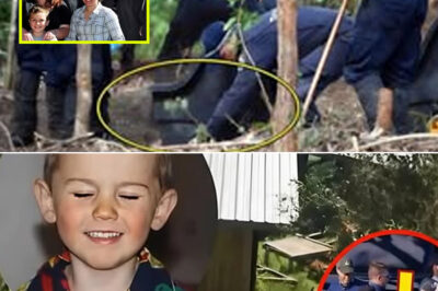 1 MINUTE AGO: Major Break in William Tyrrell Case as Reported Re-mains Discovery Shocks Australia