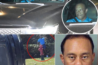 Tiger Woods Cr-a-sh Sparks Outrage — Refusal After Wreck Raises Se-r-ious Questions