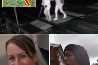 🚨 “Walk of De-a-th” Case Shocks Online — 18-Year-Old’s Actions Before Tragedy Raise Chil-ling Questions