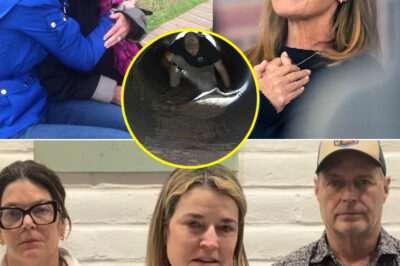 Savannah Guthrie ‘Livid’ After Report Links Brother-in-Law Tommaso Cioni to Ongoing Case