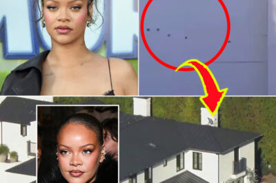 Police Identify Woman Who Allegedly Opened Fire at Rihanna’s Home with AR-15-Style Rifle