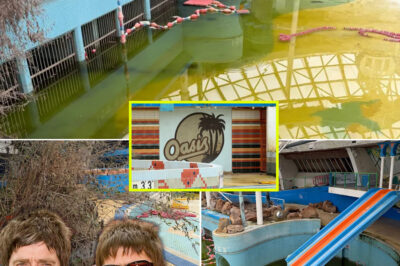 The Forgotten “Oasis” That Time Erased: Inside the Abandoned Leisure Centre Left to Decay