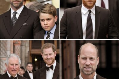 RETURN TO THE UK PLAN COLLAPSES — Harry Left Devastated After Realizing There Is NO WAY BACK Following William’s Firm New Boundary!