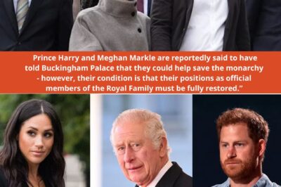 ROYAL BOMBSHELL: Prince Harry and Meghan Markle are reportedly said to have told Buckingham Palace they could help save the monarchy?!