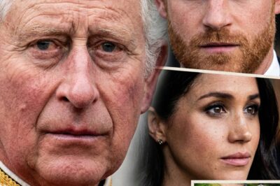 ABSOLUTELY INSANE – Rumors Swirl: Harry and Meghan Want Royal Lodge as UK Base in Potential Return to Britain!