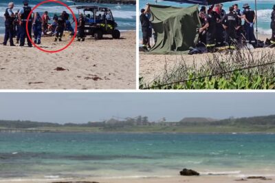 HERO ACT — “Their efforts are to be commended and really did give the couple the best chance…”