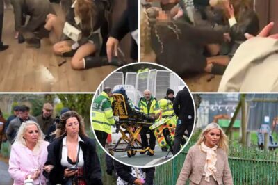 Wild Hair-Pulling Toilet Brawl Erupts At Cheltenham Festival As Six Women Clash In Screaming Fight Behind The Guinness Village Stage And Security Storms In