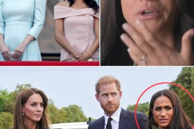 “MEGHAN WAS NEVER TREATED LIKE KATE.” Prince Harry Reportedly Erupted in Fury Over Palace Double Standards Before the Couple Even Got Engaged