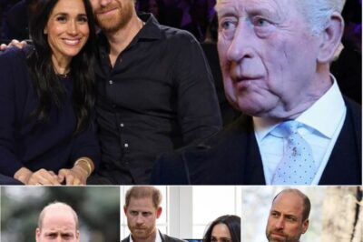 JUST IN — Prince Harry is reportedly hoping for something unexpected this summer… a royal reset.